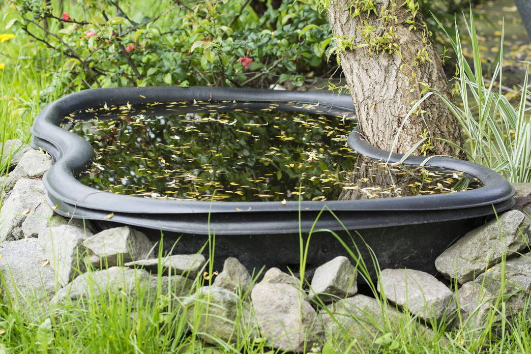 How to create a mini pond The Wildlife Trusts